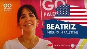 Volunteer and Internship Programs in Palestine 2025/2026