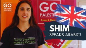 Volunteer and Internship Programs in Palestine 2025/2026