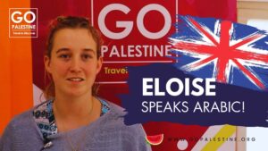 Volunteer and Internship Programs in Palestine 2025/2026